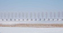 winter landscape 3-4 lsvk7940.jpg